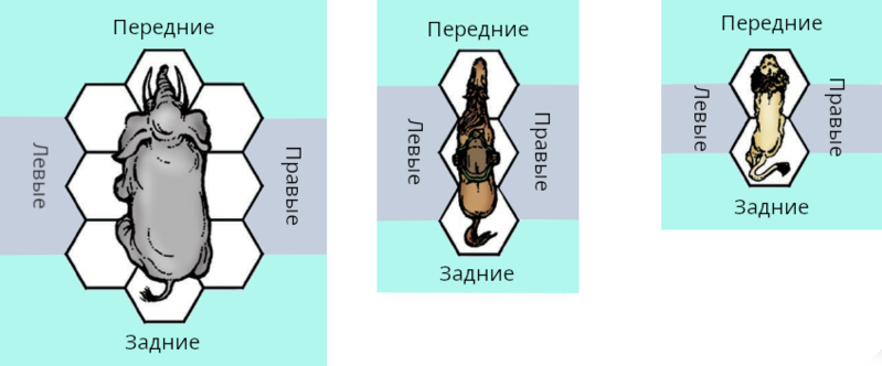 Файл:Examples of Multi Hex Figures.png
